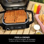 گریل و دودکن چندمنظوره نینجا مدل Ninja Woodfire OG701 - Image 5