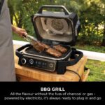 گریل و دودکن چندمنظوره نینجا مدل Ninja Woodfire OG701 - Image 9